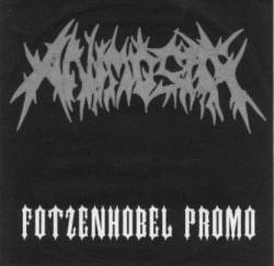 Fotzenhobel Promo